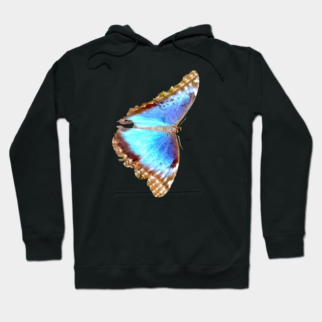 Morpho Butterfly on Black / Swiss Artwork Photography Hoodie by RaphaelWolf